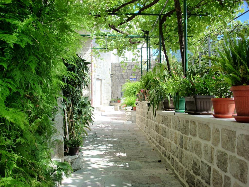 Guest House Dragutinovic Perast Zewnętrze zdjęcie